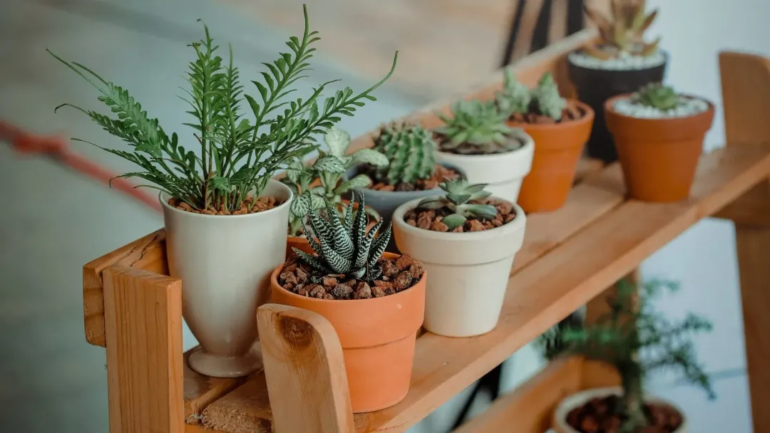 Garden Planter Co. decorative vases