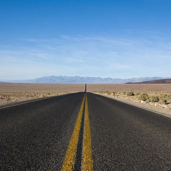 Trade promotion forecasting- the present and the near future