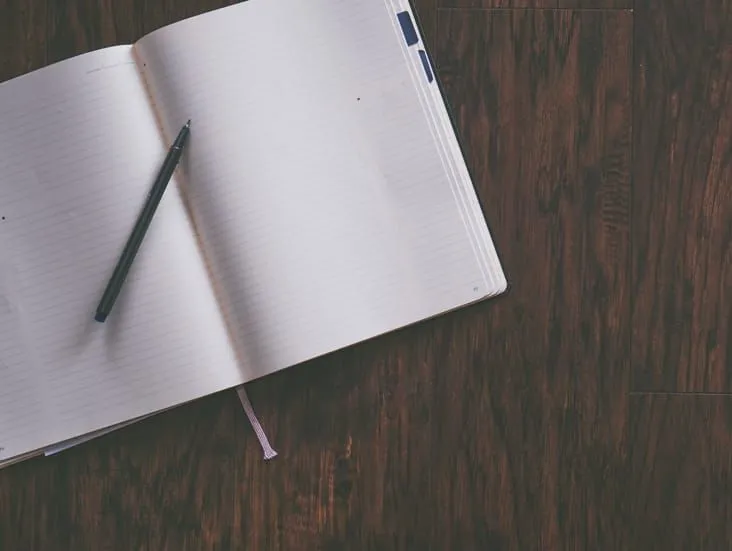 Moleskine notebooks