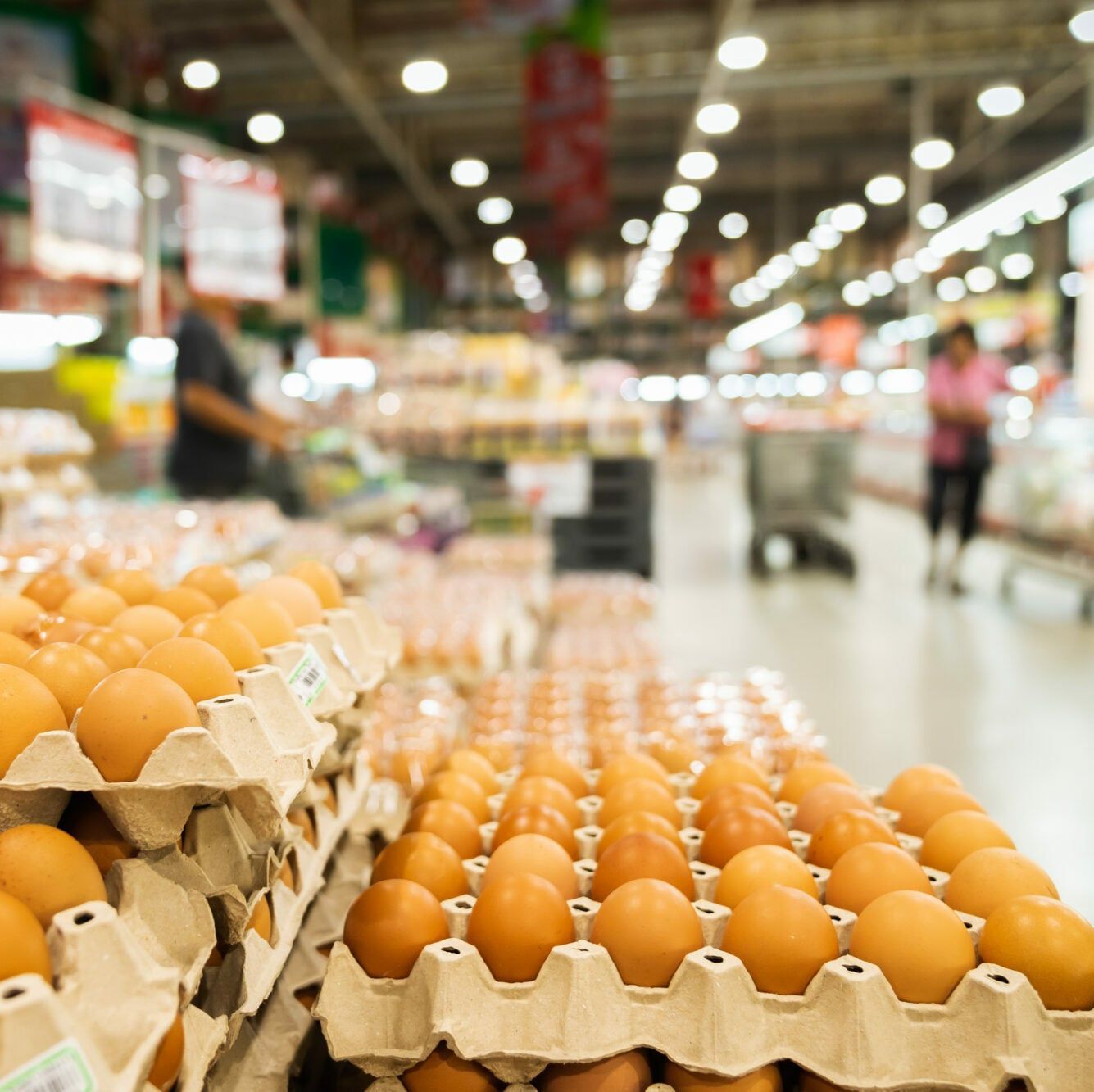 chicken-shortage