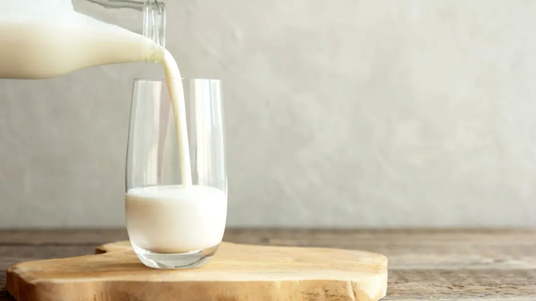 Granarolo dairy products