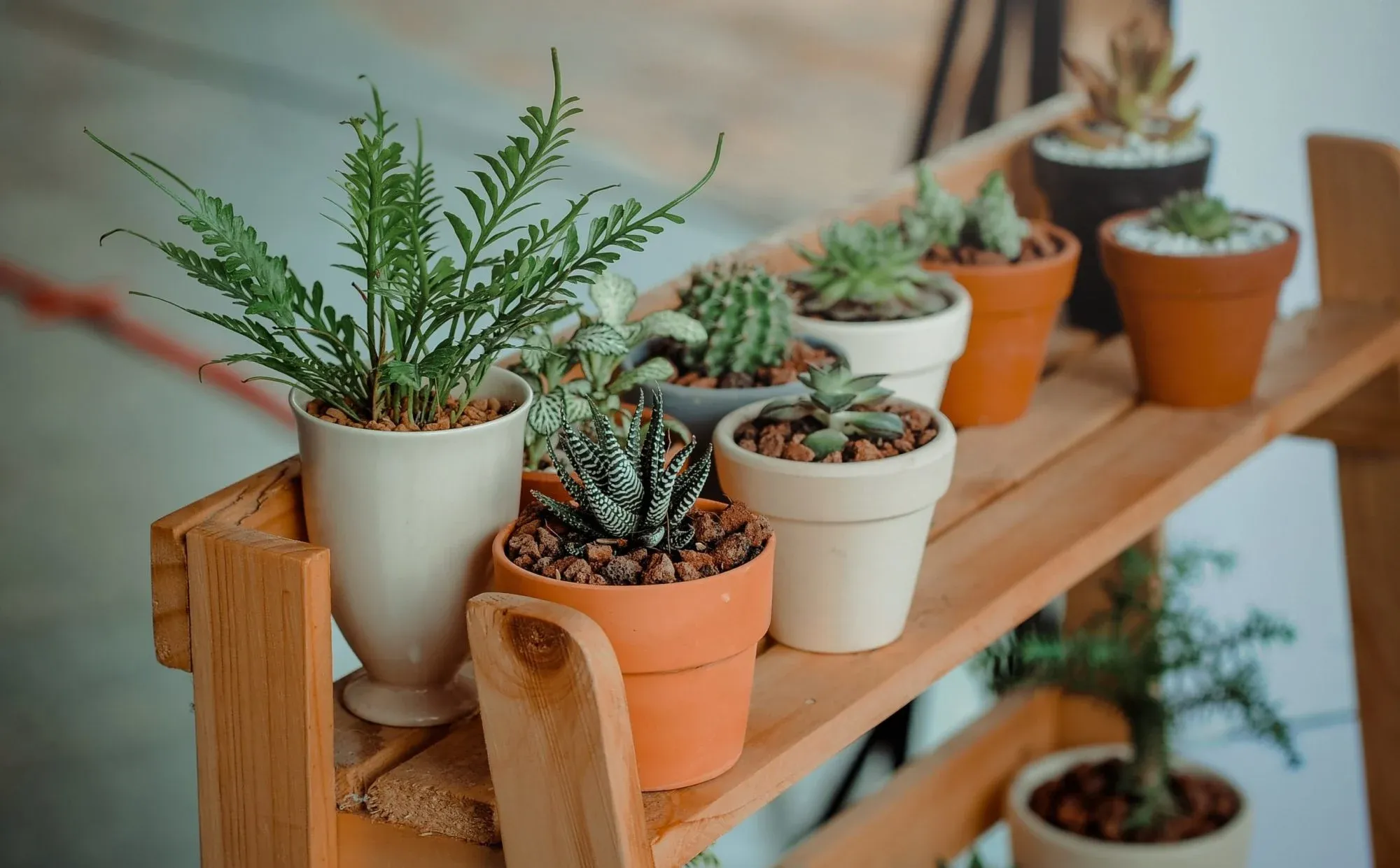 Garden Planter Co.